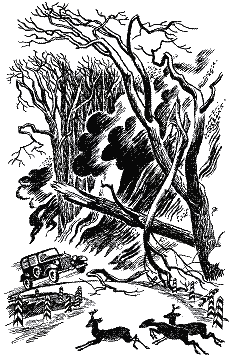 Тарзан, годованець великих мавп - i_015.png