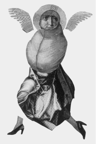 Екзотичні птахи і рослини з додатком «Індія» - i_005.png