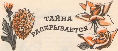 Кто твоя бабушка? - i_027.jpg