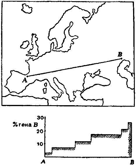 Дарвинизм в XX веке - i_015.png