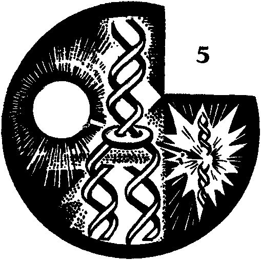 Дарвинизм в XX веке - i_017.png