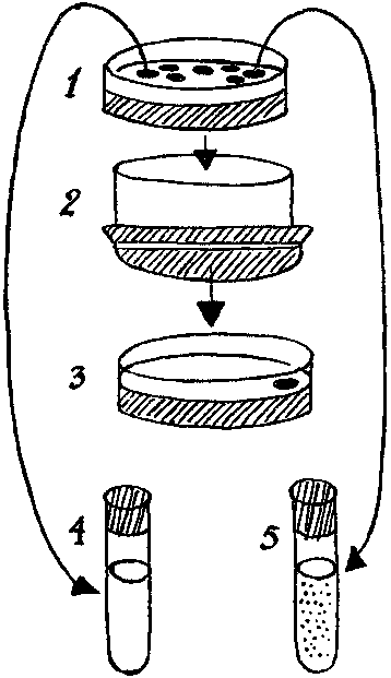 Дарвинизм в XX веке - i_021.png