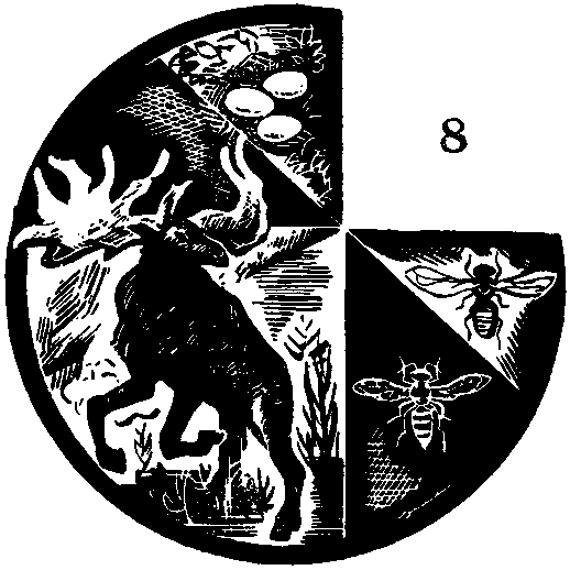 Дарвинизм в XX веке - i_031.png