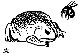 Дарвинизм в XX веке - i_039.png
