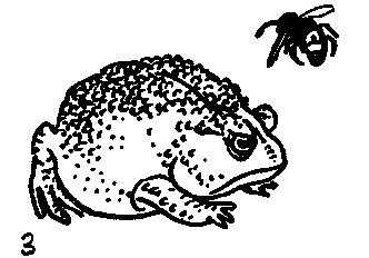 Дарвинизм в XX веке - i_040.png