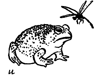 Дарвинизм в XX веке - i_041.png