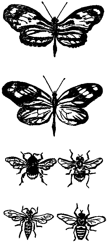 Дарвинизм в XX веке - i_044.png