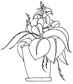 Жити сьогодні - pic_2.png