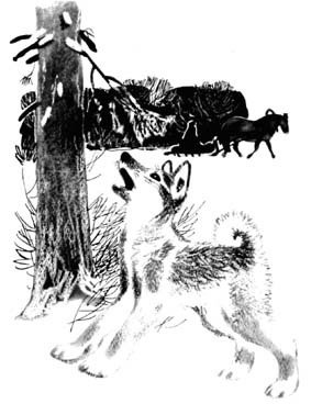 Джулькино детство - _8.jpg