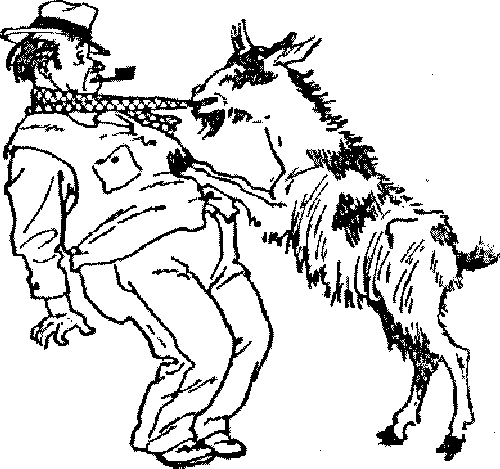 Приключения Ломтика - i_023.png