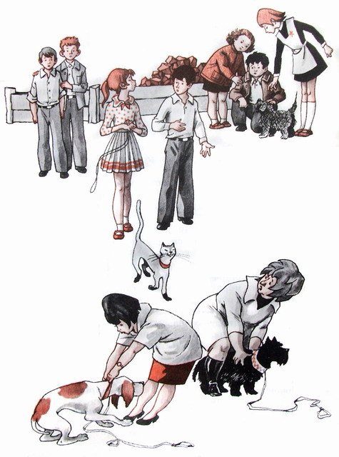 Капля дёгтя и полмешка радости - i_028.jpg