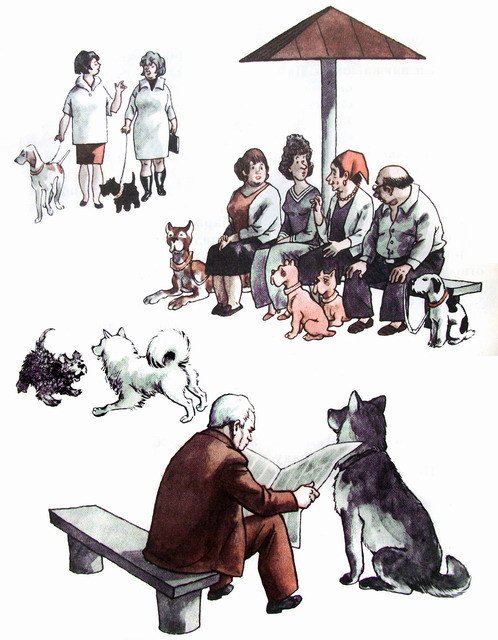 Капля дёгтя и полмешка радости - i_034.jpg