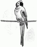 Рассказы - pic_108.png