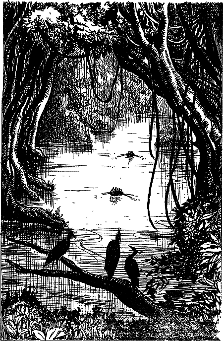 Затерянная земля (Сборник) - i_025.png