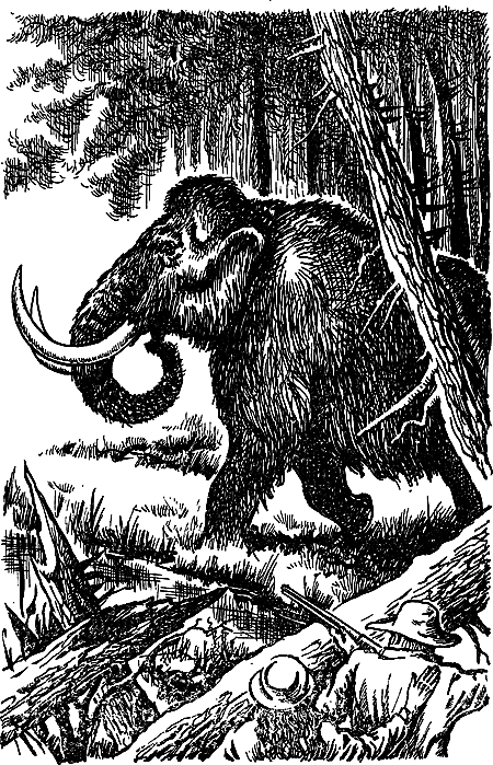 Затерянная земля (Сборник) - i_080.png