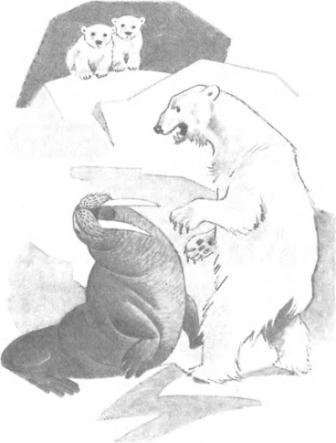 Большая Хета сердится - i_005.jpg