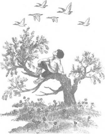 Большая Хета сердится - i_009.jpg