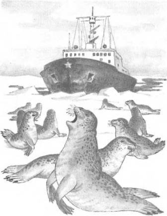 Большая Хета сердится - i_016.jpg