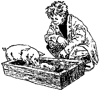 Али-баба и Куриная Фея - i_008.png