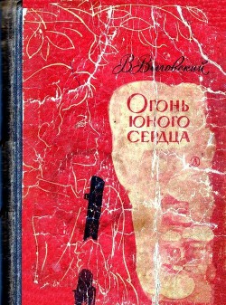 Книга Огонь юного сердца