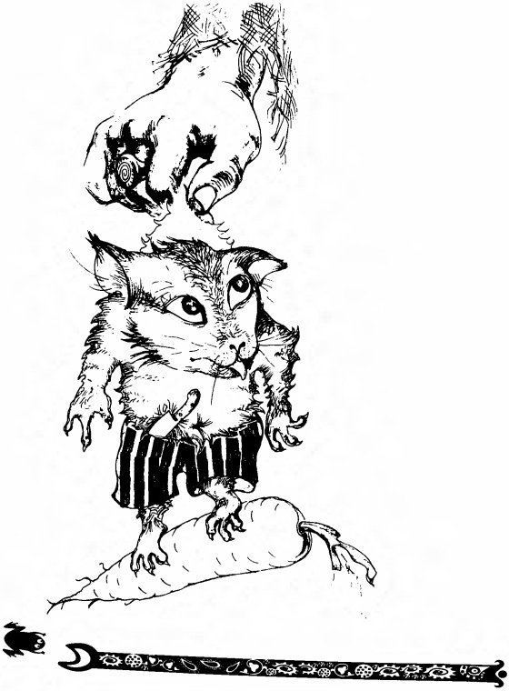 Зброя вогню - i_008.jpg