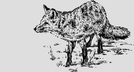 Долгая дорога домой (сборник) с илл. - img05.png