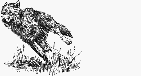 Долгая дорога домой (сборник) с илл. - img10.png