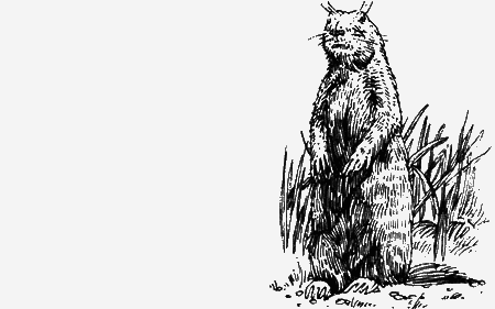 Долгая дорога домой (сборник) с илл. - img53.png