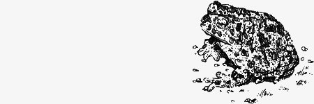 Долгая дорога домой (сборник) с илл. - img55.png