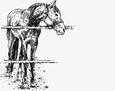 Долгая дорога домой (сборник) с илл. - img62.png