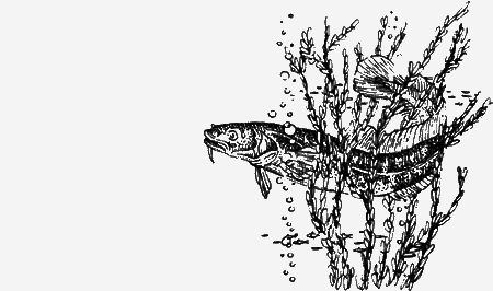 Долгая дорога домой (сборник) с илл. - img83.png