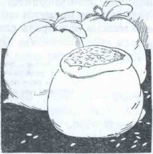 Сандалики, полная скорость! - _15.jpg