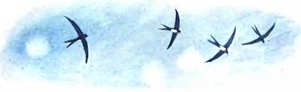 Сказка о попе и о работнике его Балде - i_001.jpg