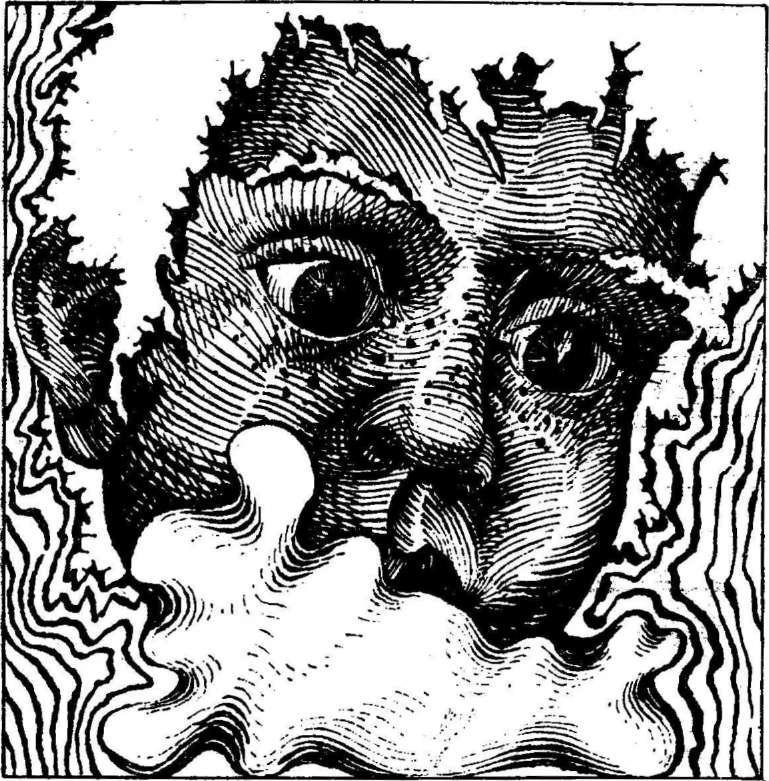 Гон спозаранку - i_003.jpg