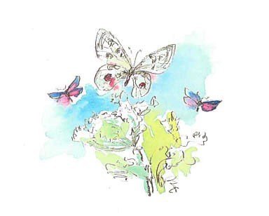 Синий махаон - _20141201153922Skrinshotehkrana.jpg