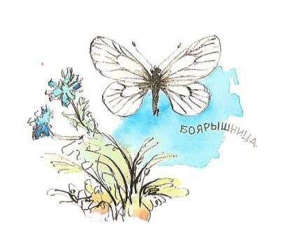 Синий махаон - _20141201154309Skrinshotehkrana.jpg