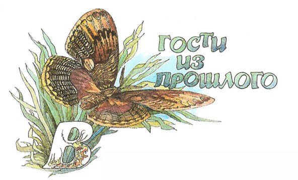 Синий махаон - _20141201154326Skrinshotehkrana.jpg