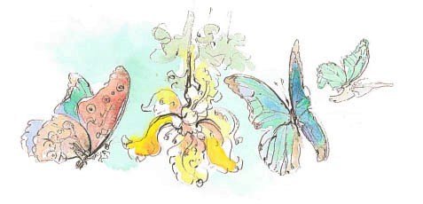 Синий махаон - _20141201190953Skrinshotehkrana.jpg