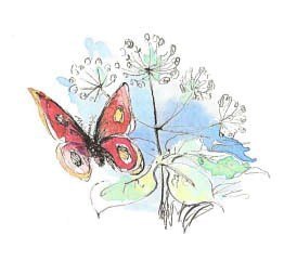 Синий махаон - _20141201191237Skrinshotehkrana.jpg