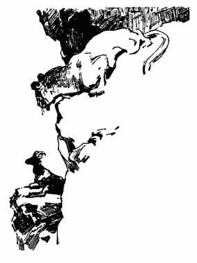 Ошибка Одинокого Бизона - _9.jpg