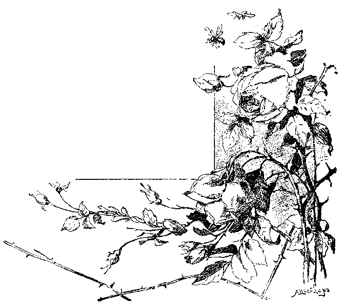 Бабушкина книжка - i_002.png