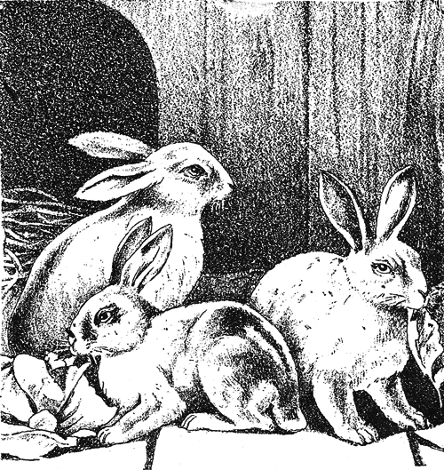 Бабушкина книжка - i_008.png