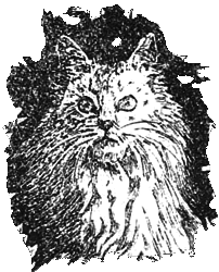 Бабушкина книжка - i_021.png