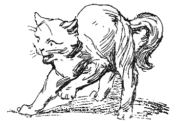 Бабушкина книжка - i_023.png