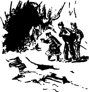 Долина долгих снов - pic_4.png