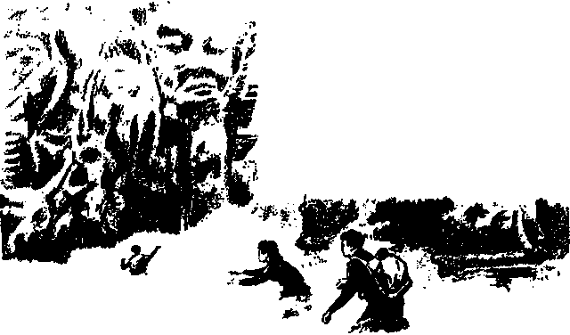Долина долгих снов - pic_18.png