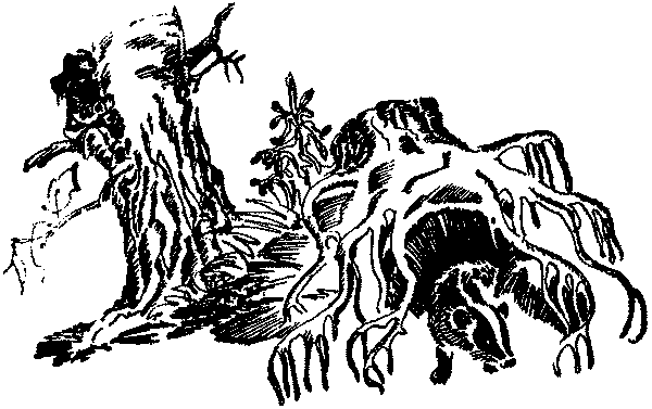 Лесная быль. Рассказы и повести - pic002.png