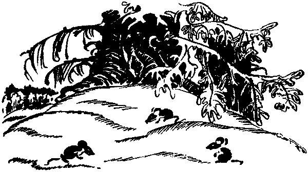 Лесная быль. Рассказы и повести - pic006.png