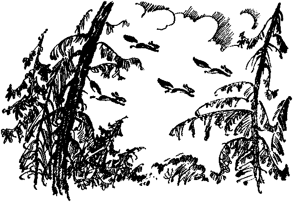 Лесная быль. Рассказы и повести - pic007.png