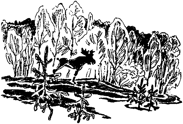 Лесная быль. Рассказы и повести - pic013.png